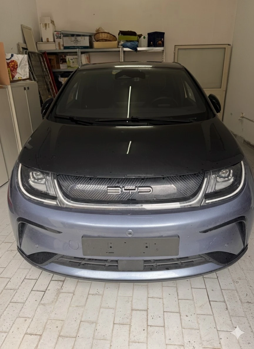 BYD Dolphin